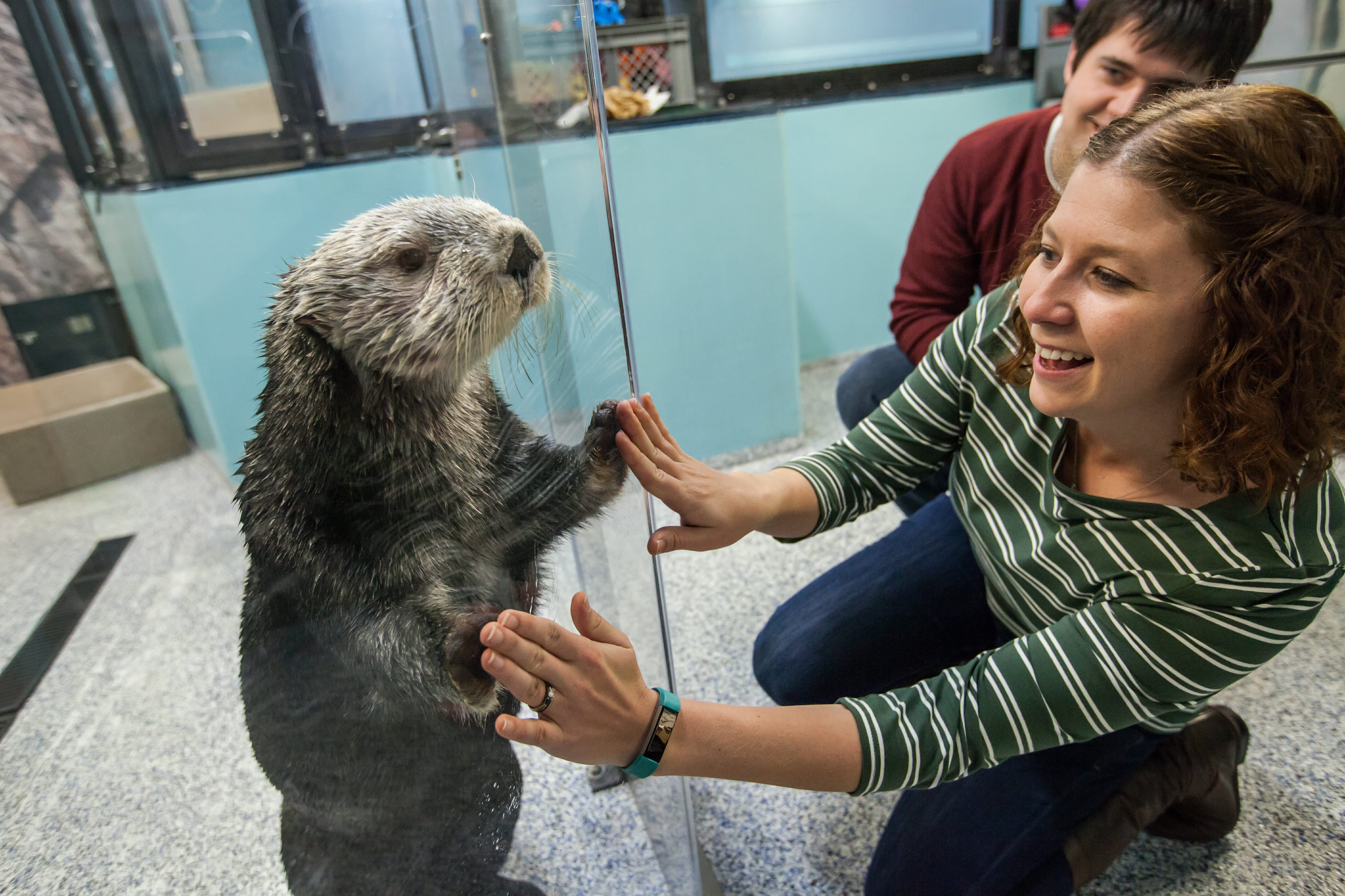 Sea Otter Encounter 13