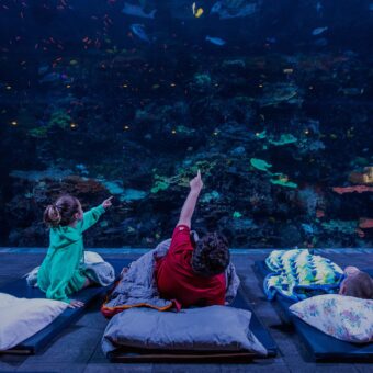 Sleep Under the Sea 21