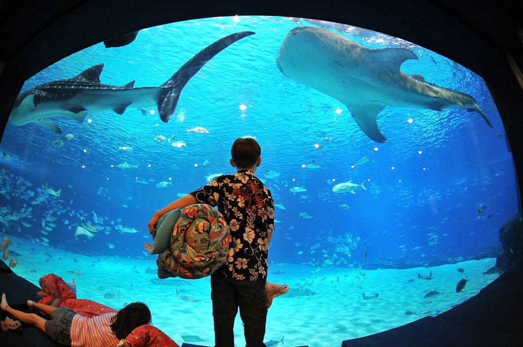 Sleep Under the Sea 2