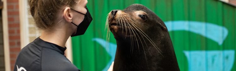 Presentation Reservation 1