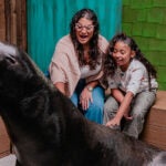 Enjoy some one-on-one time with our Sea Lion friends