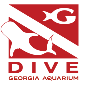 Journey with Gentle Giants - Dive 2