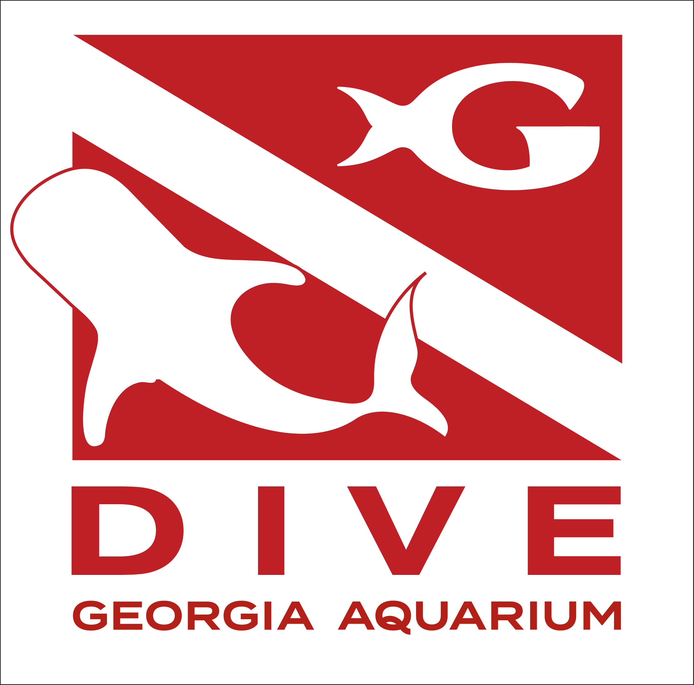 Journey with Gentle Giants - Dive 2