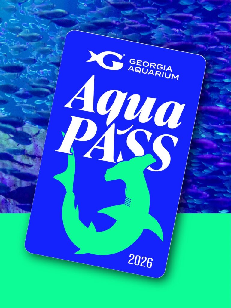 Buy Online and Save | Visit Today | Georgia Aquarium | Located in Downtown Atlanta, Georgia 87