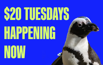 Buy Online and Save | Visit Today | Georgia Aquarium | Located in Downtown Atlanta, Georgia 98